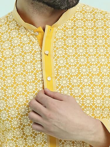 Image of Rajubhai Hargovindas Men's Chikankari Embroidered Cotton Kurta (Ches)