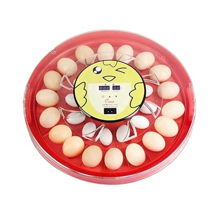 Ndeal | Mini Egg Incubator, 30 Eggs Hatcher Poultry Eggs Hatching Machine with Temperature Control, Small Chicken Incubators Breeder for Hatching Chicken Quail Birds Eggs