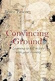 Convincing Ground: Learning to Fall in Love with Your Country