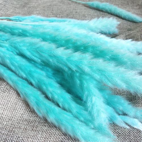 Natural Hay 30 Stems Blue Pampas Grass, 17” Pampas Grass Decor, Dried Pampas Grass Plants Boho Decor, Home Decor #TOP2