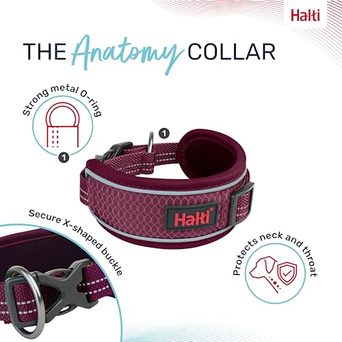 Image of Halti Anatomy Dog Collar | Size M, Magenta | Wide Design Collar for Pressure Relief | Padded, Reflective & Adjustable | Matching Leash & Harness | For Medium Dogs
