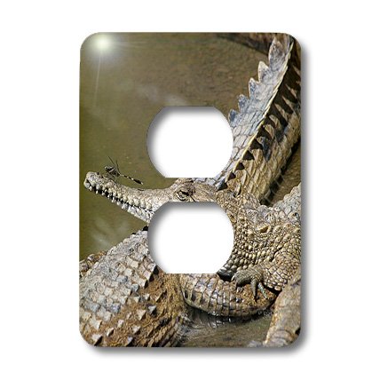 Cubierta para salida de nariz de cocodrilos para renovar placas de interruptores viejas