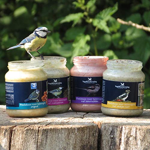 C.J Wildlife Erdnussbutter für Gartenvögel - Set (4 x 330g)