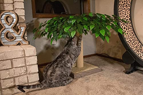 Rascador para Gatos Decorativo en Forma de Árbol Midlee miniatura 4