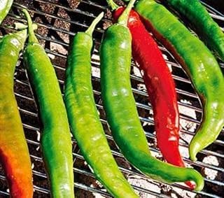 Pepper Joe’s Italian Roaster Pepper Seeds ­­­­­– Pack of 10+ Sweet and Mild Pepper Seeds – USA Grown ­– Premium Non-GMO Italian Pepper Seeds for Planting in Your Garden