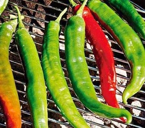 Pepper Joe’s Italian Roaster Pepper Seeds