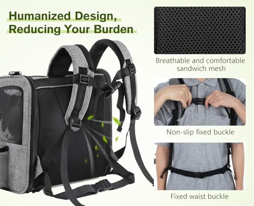 pecute Haustier Rucksack mit Netzfenster, Tragbare und Faltbare Katzentasche, Atmungsaktive und Leichte Hundetasche, Wasserdichtes Oxford-Tuch mit Viel Platz, Multifunktionales Rutschfestes Grau M