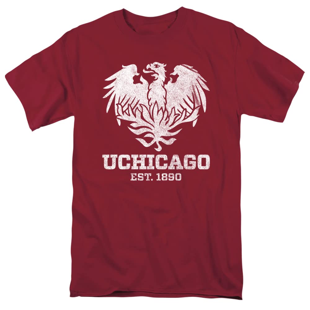 LOGOVISION Official Collegiate Distressed Primary Logo Adult T-Shirt Collection — view 65