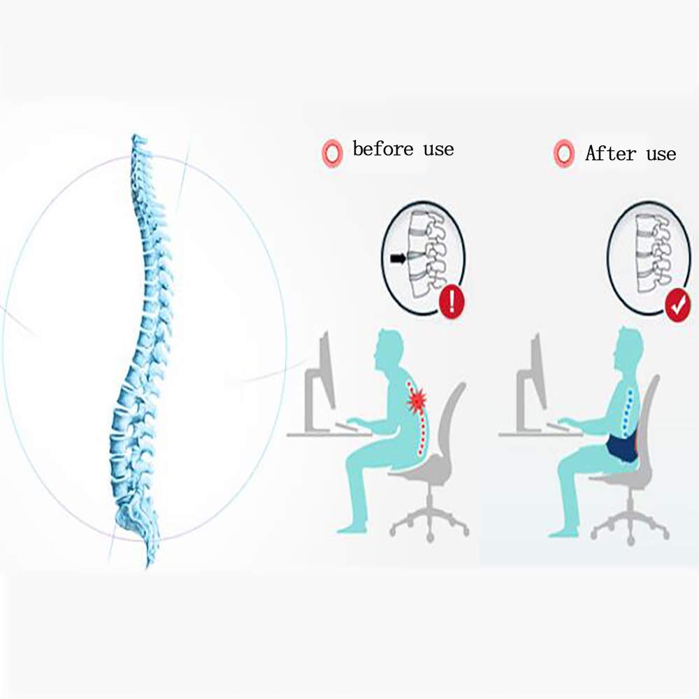 Lombare Fascia Cintura Schiena - Rinforzo Lombare - per Sciatica, ernia della scoliosi - fornisce Sollievo dal Mal di Schiena,XXL