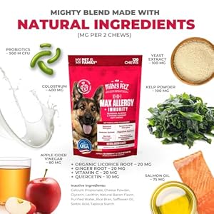 Mighty Petz MAX Dog Allergy Relief Chews – Itch Relief for Dogs. Dog Allergy Chews, Seasonal Allergies, Dog Itchy Skin & Immune Support Supplement. Colostrum & Probiotics