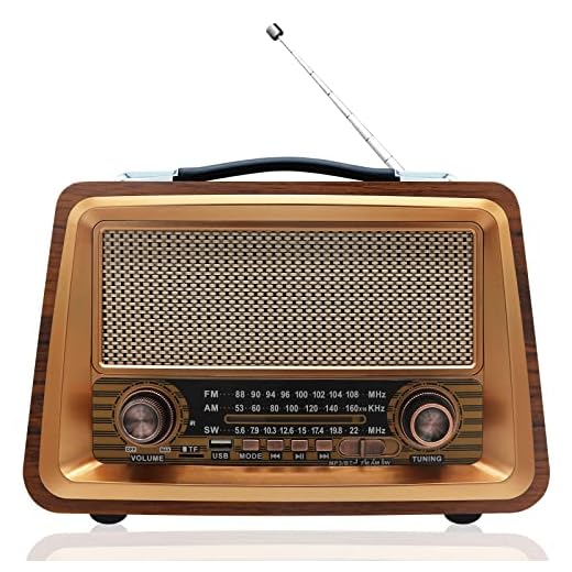 Wholede Radio FM Vintage Cocina - Retro Portátil Sintonizador Am SM Bluetooth 5.0 Altavoz con Tarjeta TF Disco USB para Cocina Oficina Casa, Funciona con 18650 Pilas Intercambiables (Marrón)