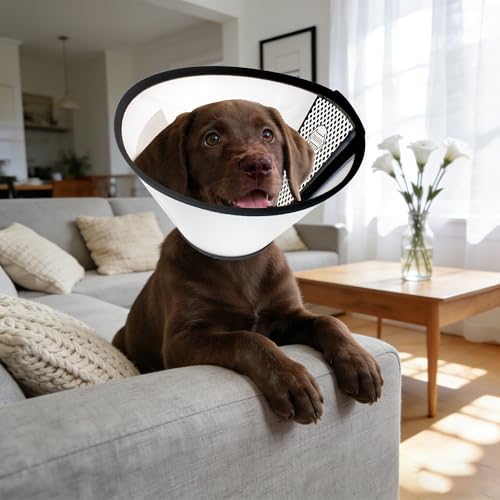 JIAMIAN Hundekegel Halsband, Verstellbar Haustier Halsband Anti-Bite Leck Wundkegel Heilen Schutzkragen, Elisabethanischer Kragen Schutzkragen Großer Hund (Halsumfang: 42-46cm)
