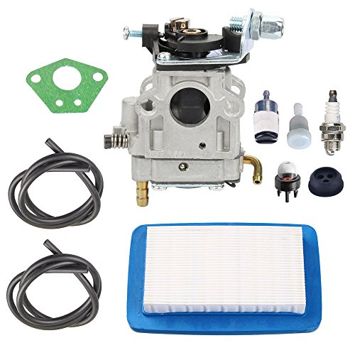 Panari A021003941 Carburetor + Tune Up Kit Air Filter for Echo PB770 PB770H