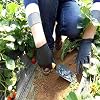 5 Pounds Soil Vigor Super Absorbent Polymer: Soil Amendment, Moisture Retention, and Nutrient Enhancement for All Plants (7)