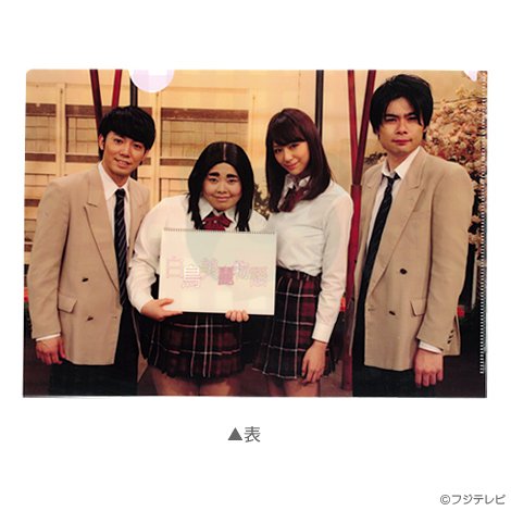 Amazon.co.jp: ピカルの定理 クリアじゃないファイル 白鳥美麗2