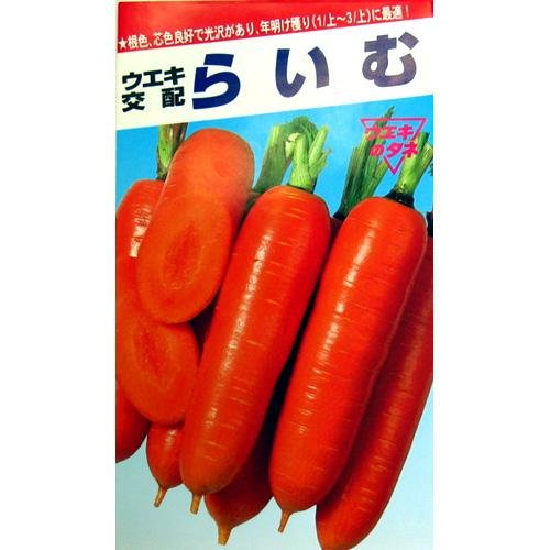 Amazon | にんじん 種 らいむ五寸 2dl缶 | 野菜