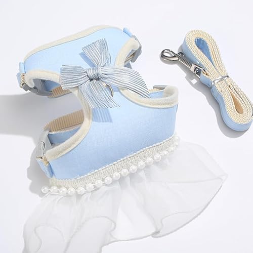 DICOCO  n[lX t  {  Lpn[lX q [h Ȃ  ȒPE y U o h~ L xXg  ^ \tgn[lXiu[AASj