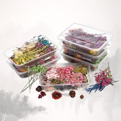 Srup 2 Cajas Flor Prensada Mezclada Juego, Flores Secas Naturales Decoración, Flores Prensadas Hojas Secas Mixtas, Color al Azar, para Manualidades, Velas, álbumes de Recortes,Joyería de Resina