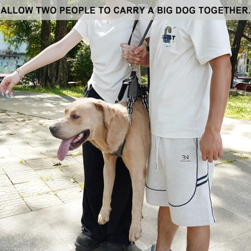 COODEO Mobility Hundegeschirr zum Heben, Notfall-Trageschlaufe, Haustier-Heckbeinstütze, Rehabilitationsweste, Hundetragetasche für ältere Hunde, Gelenkverletzungen, Arthritis (Militärgrün, M)