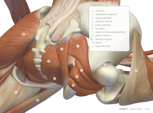 Scientific Keys Vol. II: The Key Poses of Hatha