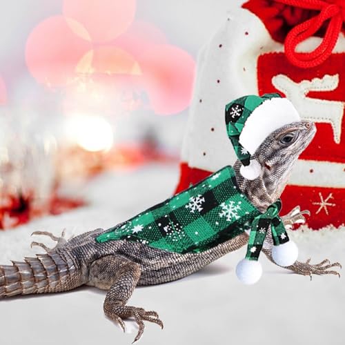 Disfraz Navideño Para Dragón Barbudo Pequeño miniatura 7