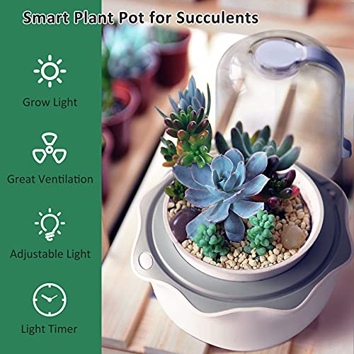Succulent Pot With Grow Light,Smart Succulent Planters With Timer And Fan,Small Indoor Plant Pots With Drainage Hole For Tabletop Plant,Ideal Gift For Valentine's Day,Wife,Mom,Birthday(No Plant) #TOP2