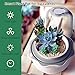 E SUPEREGROW Smart Venus Fly Trap Terrarium Pot with Timer&Fan,Succulent Planter with Grow Light,Indoor Plant Terrarium Kit for Carnivorous Plants,Sundew Moss,Cactus, for Dad (No Plant)