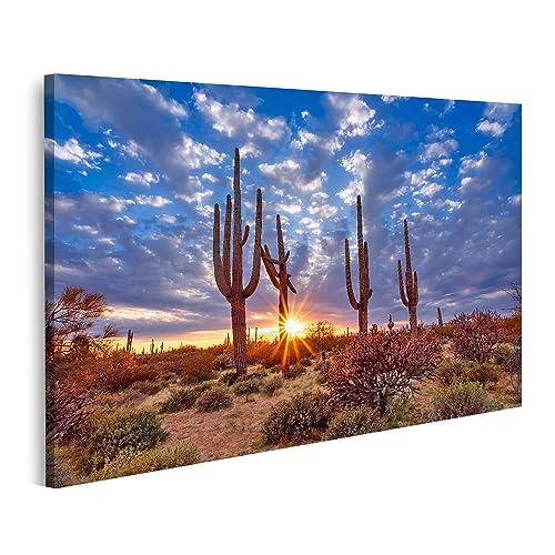 Tableau paysage désert Arizona avec cactus Saguaro pour décoration salon moderne