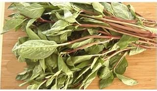 Fresh Thai basil - 16 oz (approx 30 stalks)