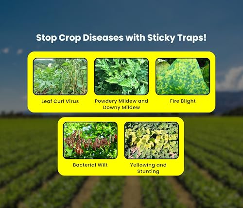 Image of Chipku A5 Yellow Sticky Trap for Insects Pack of 50 Sheets| for Garden & Agriculture to Control Whiteflies, Aphids, Thrips, Jassids| Fly Catcher Insect Catcher Glue Trap for 100% Results