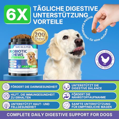 WEALLIN Probiotika für Hunde, Präbiotika für die Darmgesundheit – Unterstützt die Verdauungsgesundheit und die Nährstoffaufnahme – 200 Weiche Kaudrops zur Unterstützung der Hautgesundheit