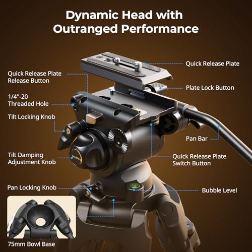 Image of SmallRig AD-01S Video Tripod, 74 inch Heavy Duty Tripod with Pan and Tilt Fluid Head, Dual-Mode Quick Release Plate, Load up to 13.2lb / 6kg for DSLR, Camcorder, Cameras