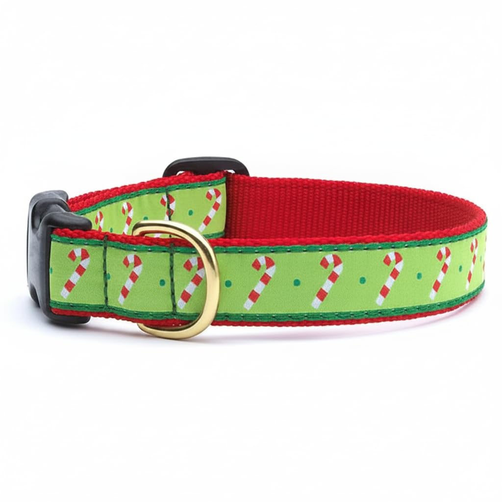 Up Country Candy Canes Dog Collar Small (9 To 15 Inches) 1 Inch Wide Width