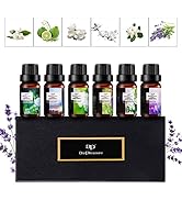ap airpleasure Flower Essential Oils Set, 6x10ml Aromatherapy Oil Gift Kit for Diffuser, Fragranc...