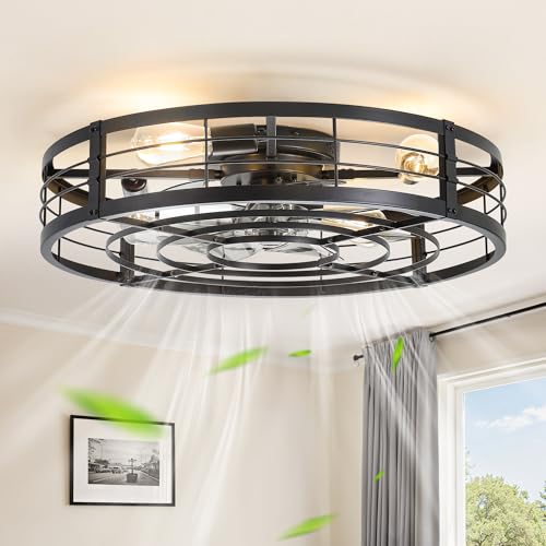 Image of LEDIARY 26 inch Caged Ceiling Fan with Light and Remote, Low Profile Flush Mount Fandelier, Black Bladeless Enclosed Small Fan Lights Ceiling Fixtures, Rustic Farmhouse Style for Bedroom, Outdoor