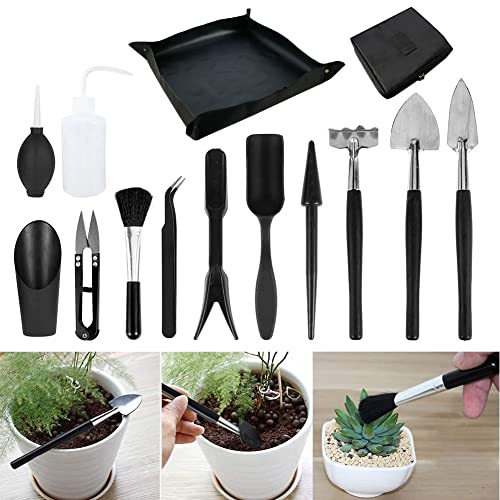Juego de 15 herramientas para plantas suculentas miniatura 6