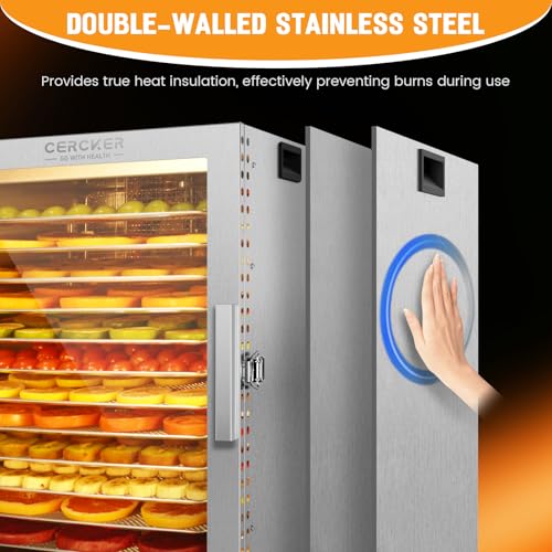 Electric Food Dehydrator 10 Trays