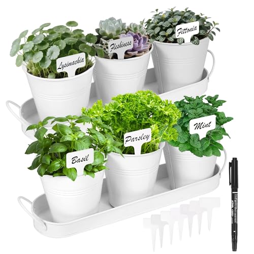 Wacloud Herb Garden Planter Indoor Kit – 6 Metal Pots with 2 Trays for Windowsill & Kitchen...