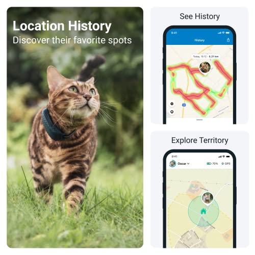 20 Best Cat Gps Tracker Of 2024(Reviews & Comparison) BDR