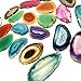 24 (Twenty-Four) Drilled Agate Slices - A Grade ~1.5-3" - Assorted Agate Pendant Slice Drilled Top with Agate Identification Card and a Rock Paradise COA