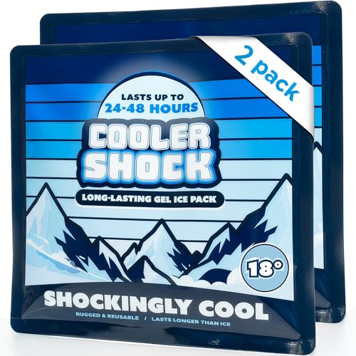 Cooler Shock Reusable Prefilled Ice Packs for Coolers & Lunch Boxes - 48 Hours Long Lasting Cold Freezer Packs for Lunchbox, Non-Toxic Gel Ice Pack for Camping, Lunch Bags, Road Trips, 2 Pack(10'x10')