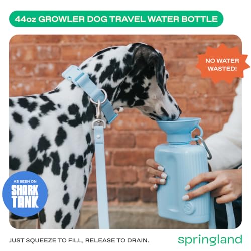 Image of Springer Dog Water Bottle | Large Capacity Drinking Feeder Dispenser for Dogs & Puppies | As Seen on Shark Tank | Leak-Proof Bowl | BPA-Free | Outdoor Walking, Hiking & Camping | 44oz Blue