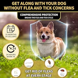 4 pack flea collar for dogs 32 months flea and tick prevention for dogs waterproof dog flea collar dog flea and tick treatment adjustable flea and tick collar for dogs puppy black  urban country home decor