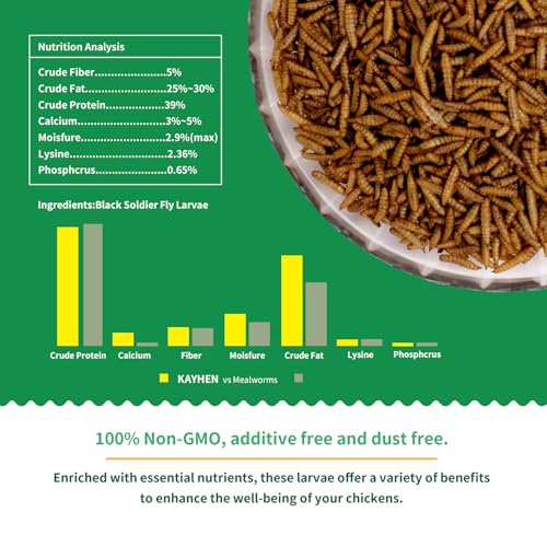 Image of Dried Black Soldier Fly Larvae Treats for Chickens Wild Birds Ducks 5LB | More Calcium Than Mealworms High-Protein Non-GMO Pure Natural