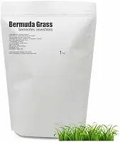 1Kg Semente de Grama Bermuda Peletizadas - Folha Fina para Jardim Campo de Futebol