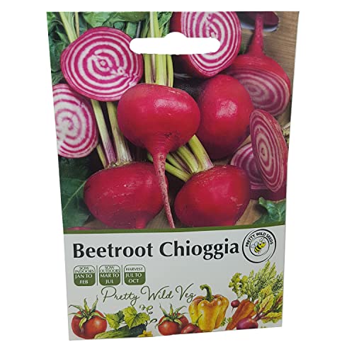 Vegetable Seeds Beetroot Chioggia Seeds