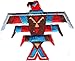 THUNDERBIRD, SOUTHWEST-WESTERN-NATIVE AMERICAN- Iron On Embroidered Patch
