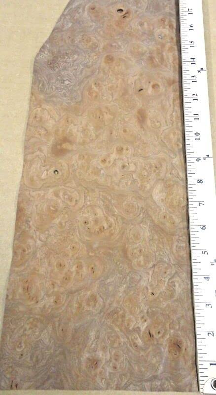 Carpathian Elm Burl Wood Veneer 7" x 18" raw no Back 1/42" Thickness AAA Grade