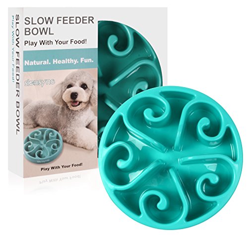 Siensync Slow Feeder Dog Bowl, Non Slip Puzzle Bowl Fun Feeder Interactive Bloat
