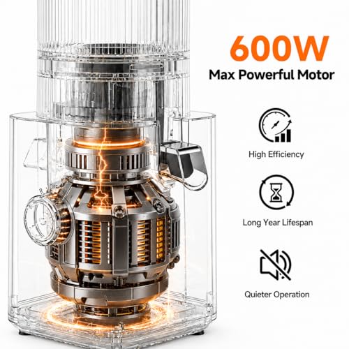 Image of AMZCHEF Cold Press Juicer, 6.5 inch Whole Fruit Self-Feeding Slow Juicer